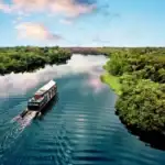 Hướng dẫn cách sử dụng the (phần 4)