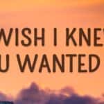 Câu điều kiện ‘if I had known…’ & câu ước ‘I wish I had known…’