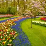 Một số trạng từ đặc biệt (quite, pretty, rather và fairly)